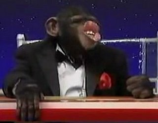 High Rollers: The Dice Rolling Monkey